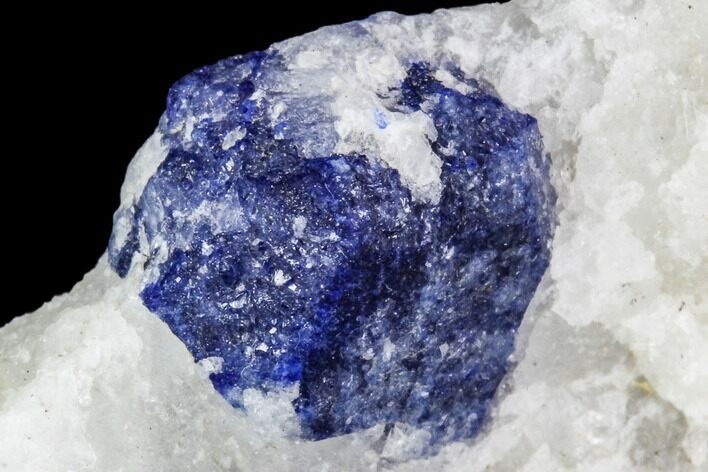 Lazurite Crystal in Marble Matrix - Afghanistan #111766